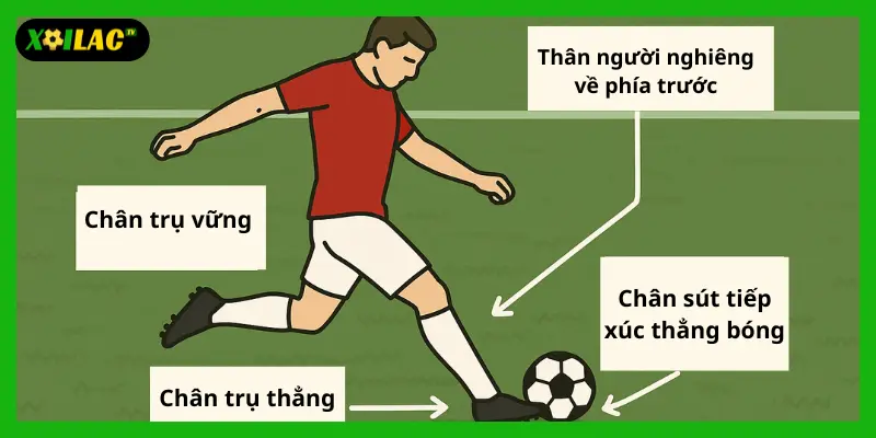 Nhận Diện Kỹ Thuật Dứt Điểm Trong Vòng Cấm Qua Góc Quay Truyền Hình 2 Khoảnh khắc sút lòng đẹp mắt trong trận trực tiếp bóng đá